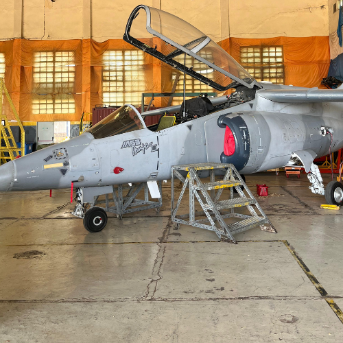 Edición 2025 - Foto 9